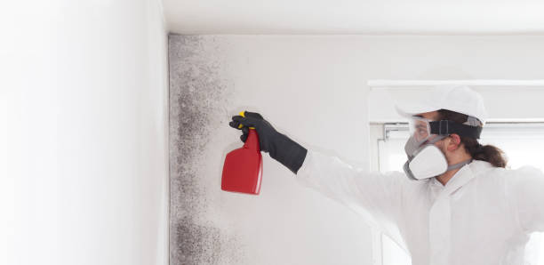 Best Residential Mold Remediation in Vilge St George, LA